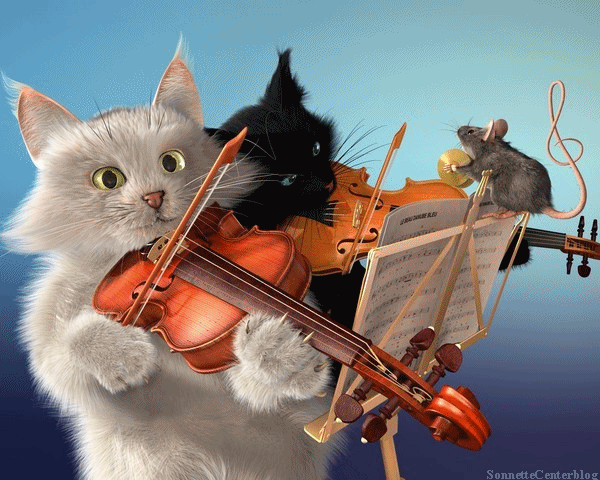 cat &amp; fiddle
